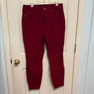 Judy Blue Rich Burgundy Pants